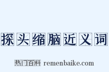 探头缩脑近义词是什么意思的图片